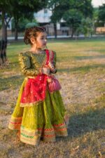 Dhani green and hotpink (lehnga choli)