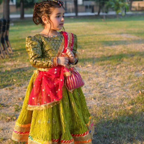 Dhani green and hotpink (lehnga choli)