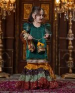 Premium Chiffon Shirt with Silver Nug Work (Green with multi)