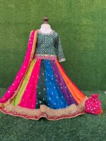 Sparkle Organza Multi-Panel Lehnga