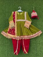 Sparkle Organza Multi-Panel Lehnga