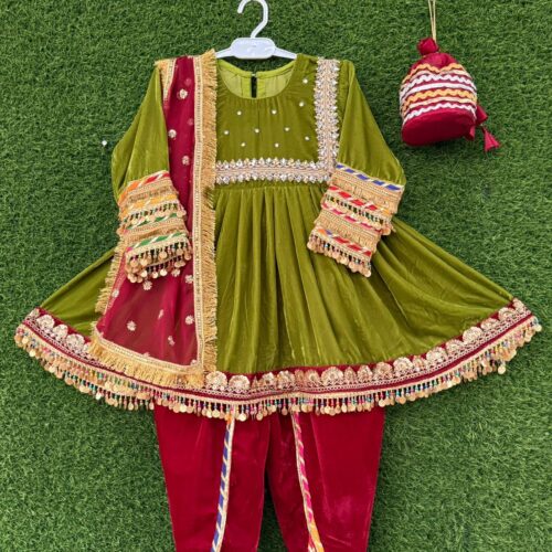 Sparkle Organza Multi-Panel Lehnga